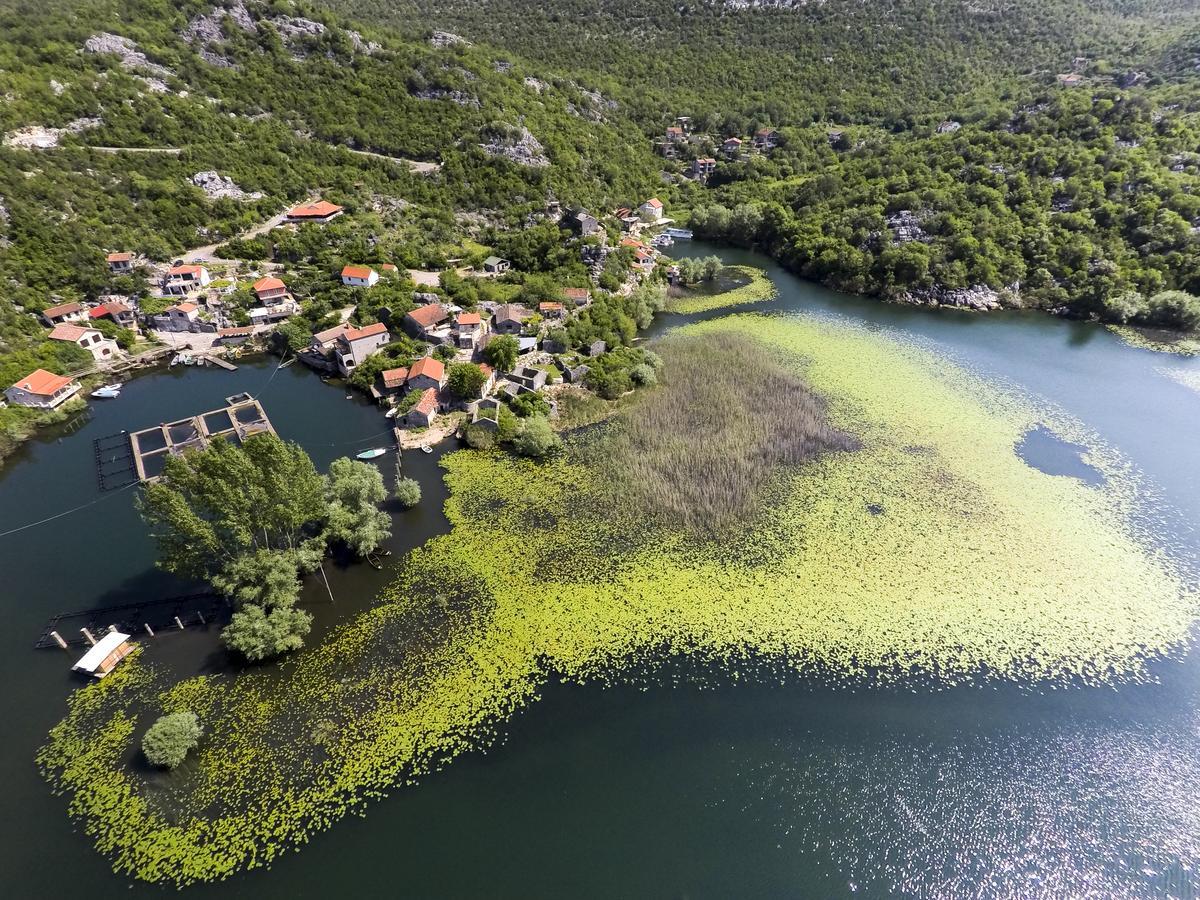 Villa Skadar Lake Karuc Εξωτερικό φωτογραφία